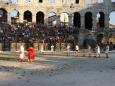 pula superiovrm11