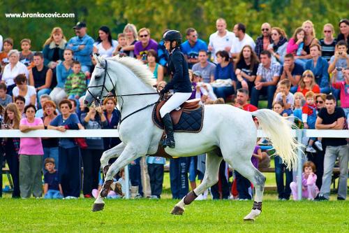 BCP_6522_resize.jpg