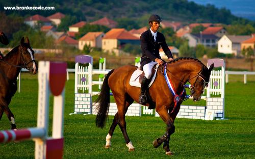 BCP_6738_resize.jpg
