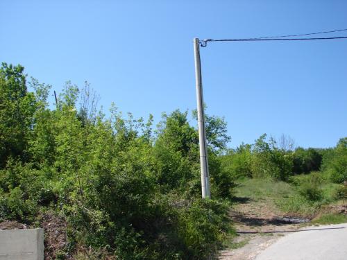 sinj k1
