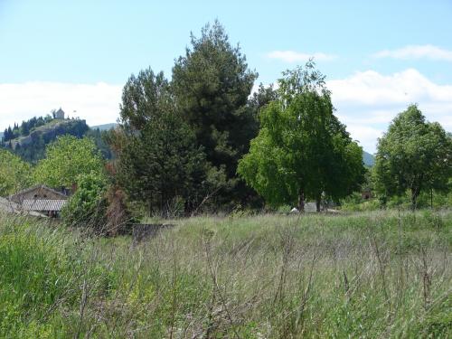 sinj m1